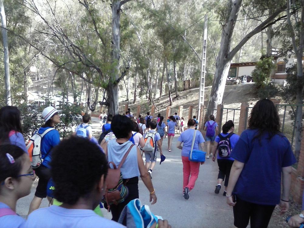 Tren de la Pascua en Álora