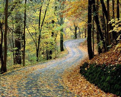 Noviembre ¿educación para la muerte?