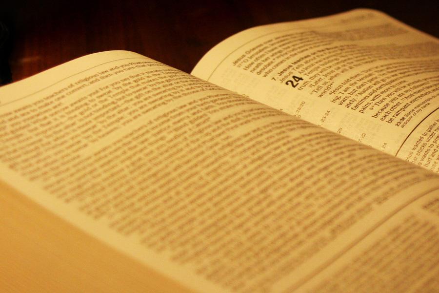 I Domingo de la Palabra de Dios