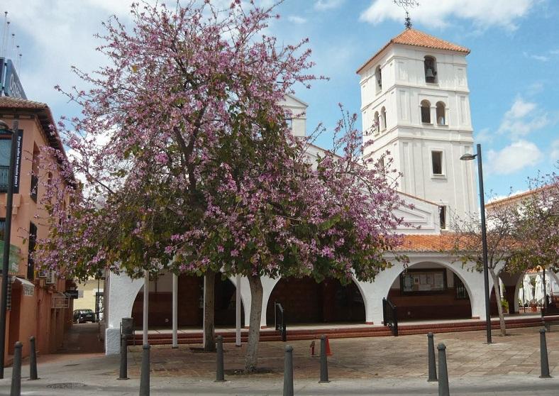 Formación teológica en Arroyo de la Miel