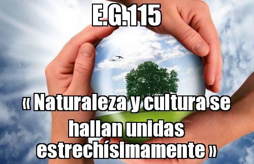 Nuevos WhatsApp sobre la Evangelii gaudium