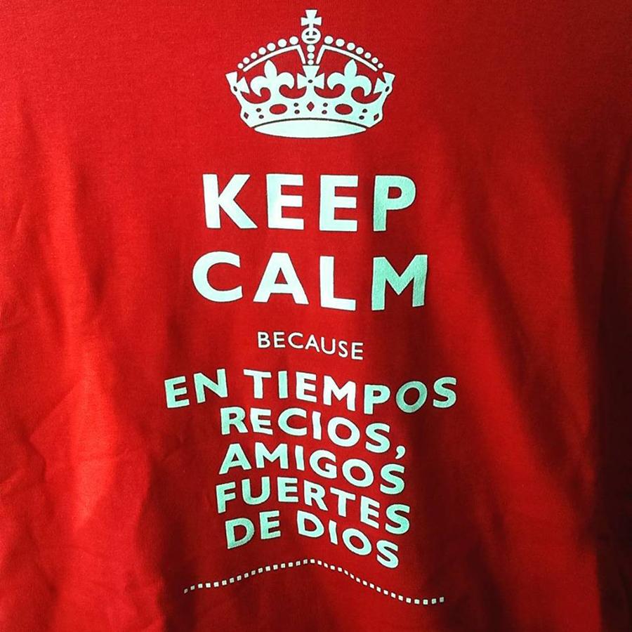 Camiseta de la Delegación de Juventud para la EEJ 2015