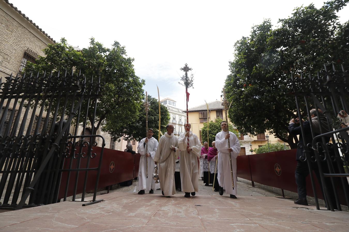 Procesión del Domingo de Ramos. FOTO: S. FENOSA