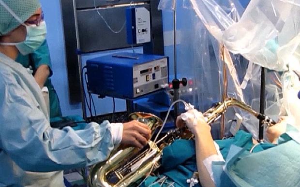 Ciencia para todos en el Cardenal Herrera