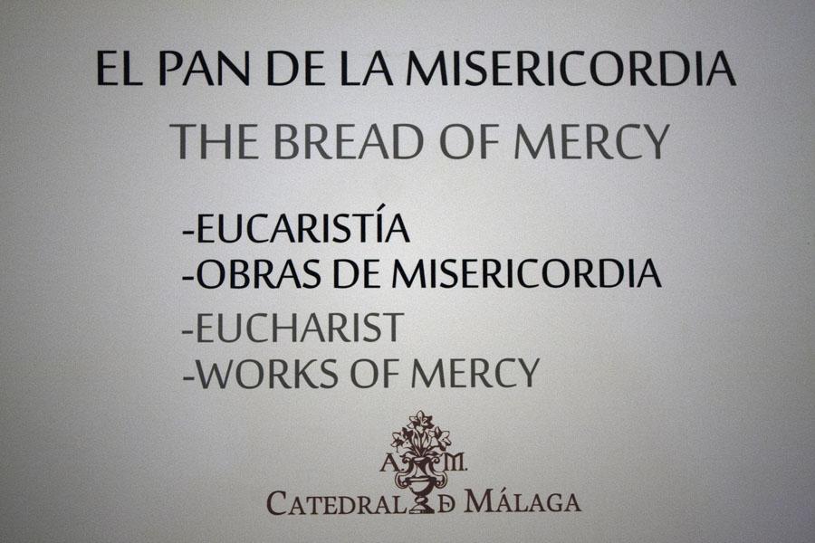 Clausura del Año de la Misericordia en la Catedral de Málaga