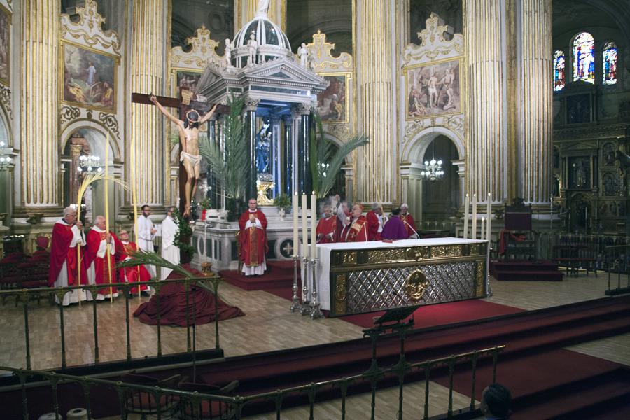 Fotos del Domingo de Ramos en la Catedral