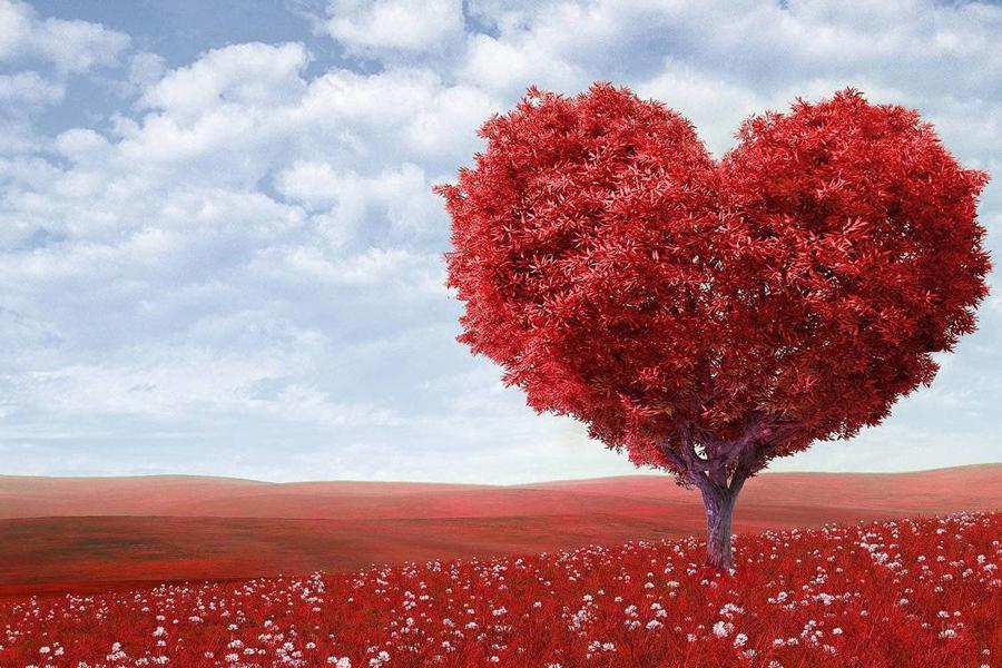 Diario de una adicta (LXIII). Otra vez el amor