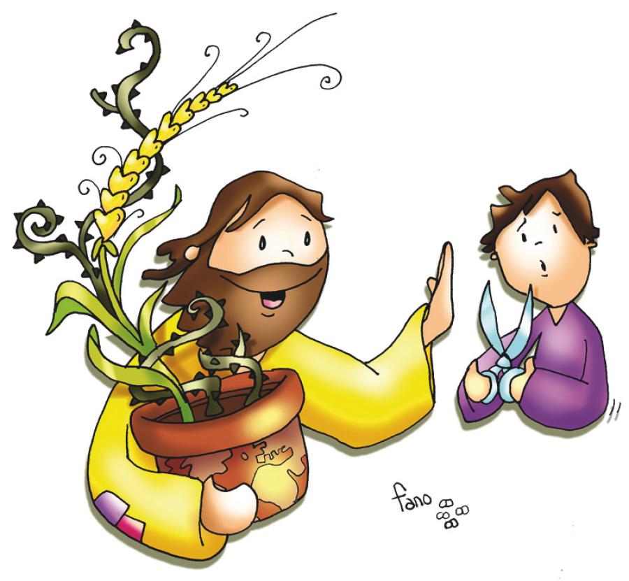 Comentario al Evangelio del Domingo XVI del Tiempo Ordinario