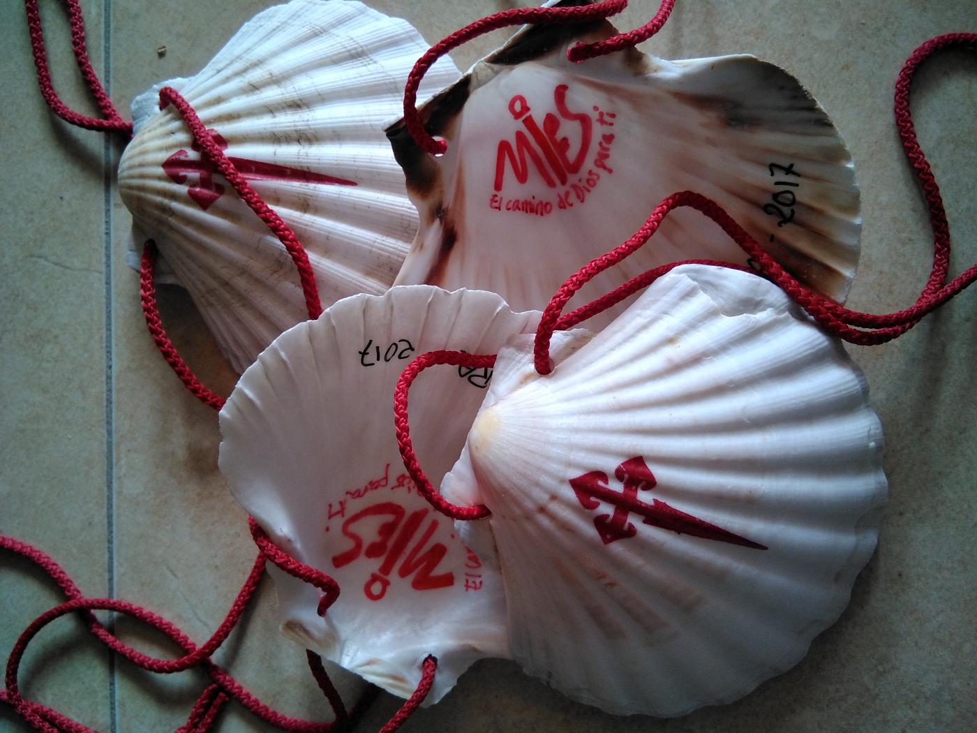 «Santa Teresa de Lisieux es una testigo para los miembros de MIES, un referente»