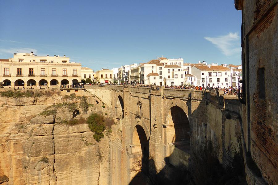 Vigilia de espigas en Ronda