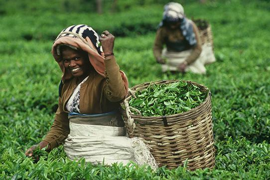 Jornada sobre Comercio Justo en Fuengirola