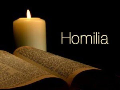 Homilía