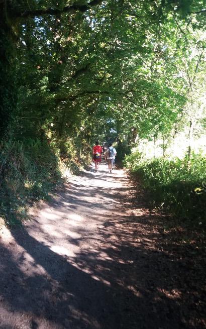 Camino de Santiago de formadores y jóvenes del Seminario Menor