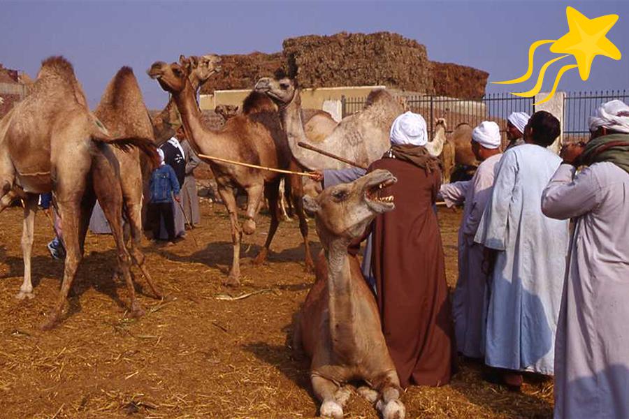 Monumental atasco a causa del censo decretado por César