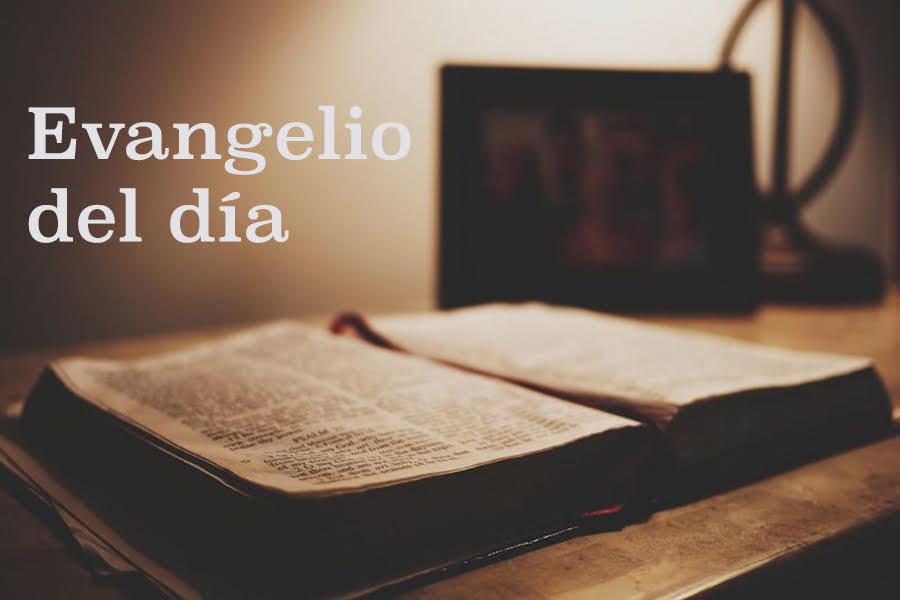 «¿Por qué has dudado?». Evangelio de este domingo