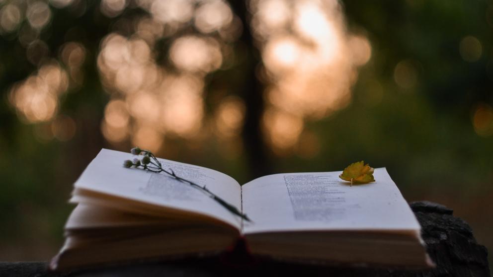 DÍA MUNDIAL DE LA POESÍA.  A ellos, que protegen