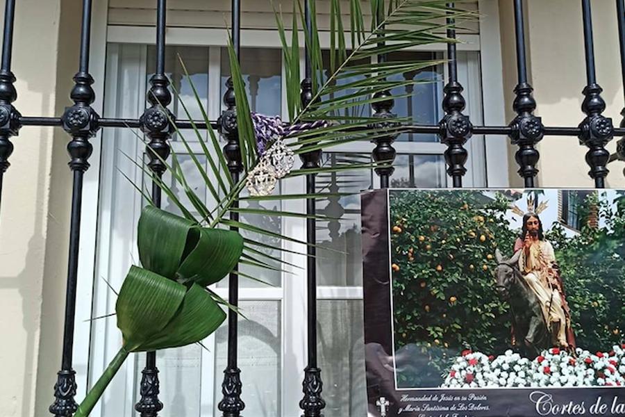 Bendición de Ramos en Cortes de la Frontera