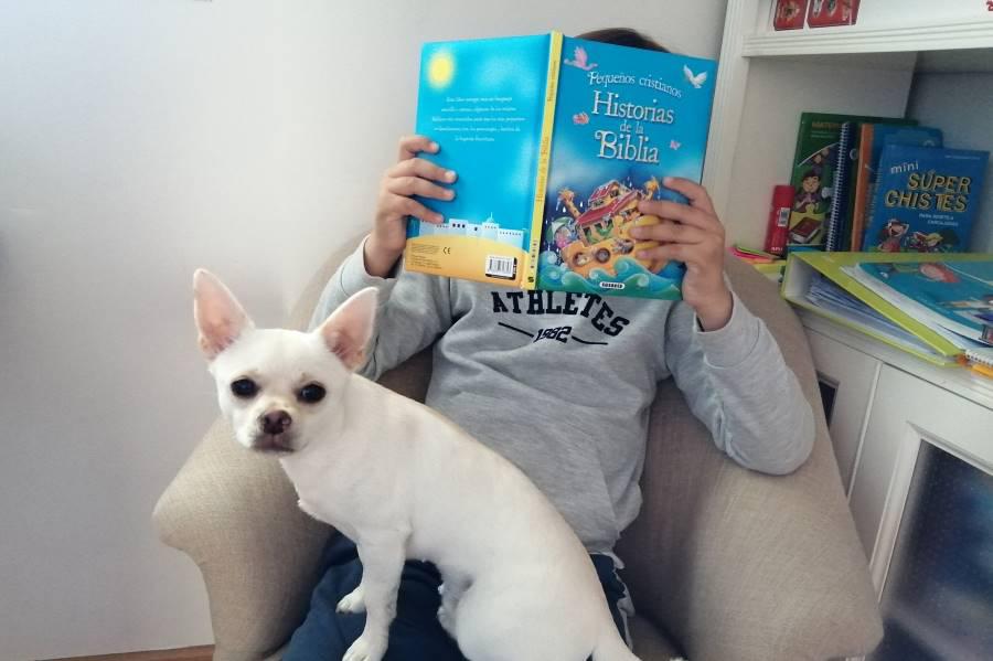 Día del Libro en casa.  #LosNiñosLeen