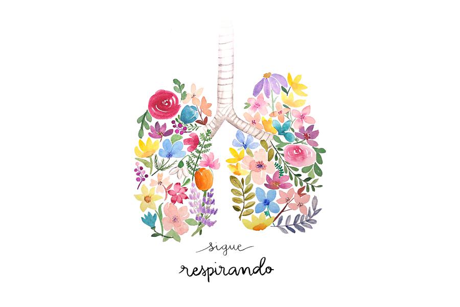 Diseño de María López