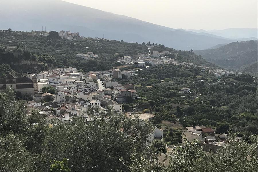 RAFAEL PÉREZ PALLARÉS. Honradez real