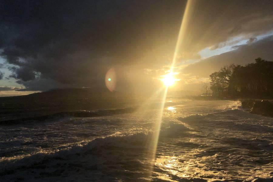 Claves del  Movimiento Laudato Si'