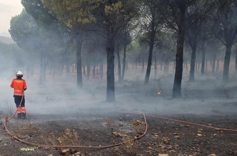 El obispo de Málaga reza por los daminificados por el incendio