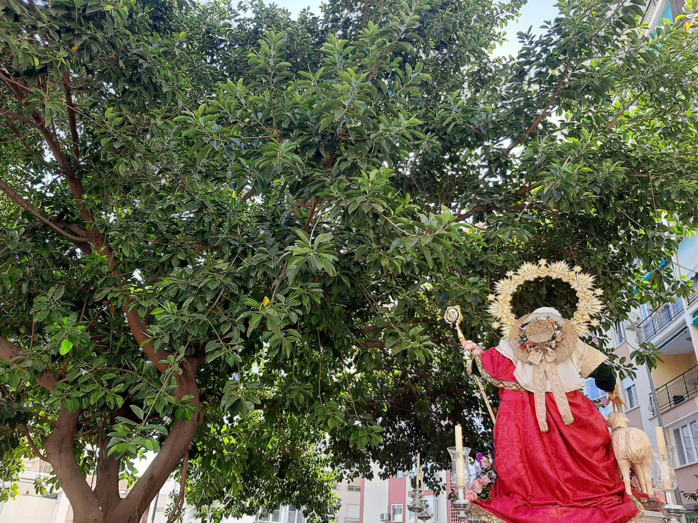 La Divina Pastora visita a los enfermos