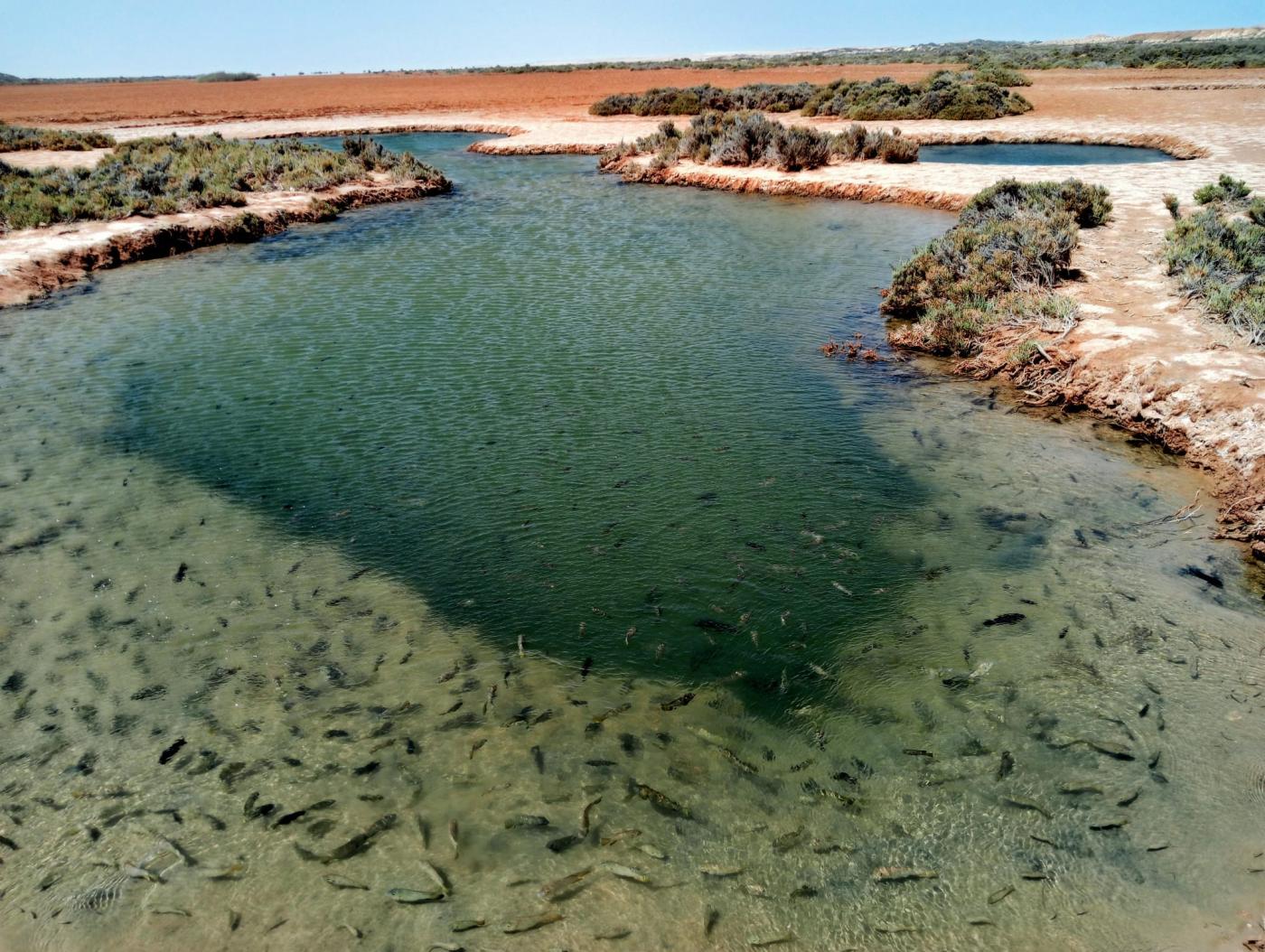 Día 10. Un oasis en mitad del desierto