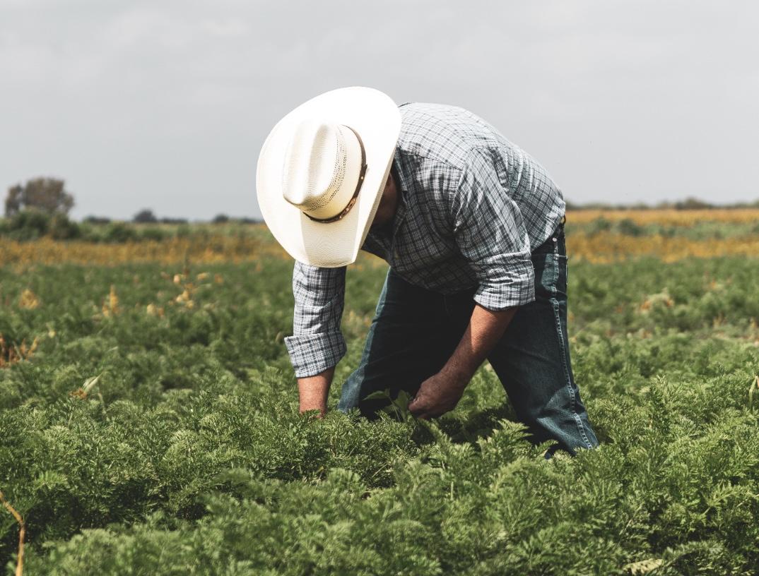 Comentario «No es cuestión de grandes palabras»