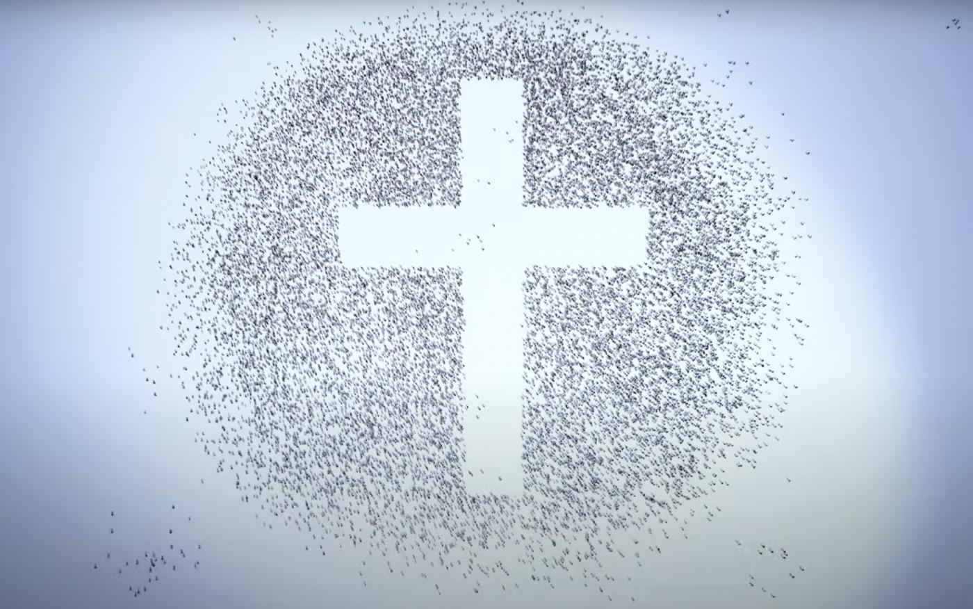 Francisco pide rezar “por el don de la diversidad en la Iglesia”