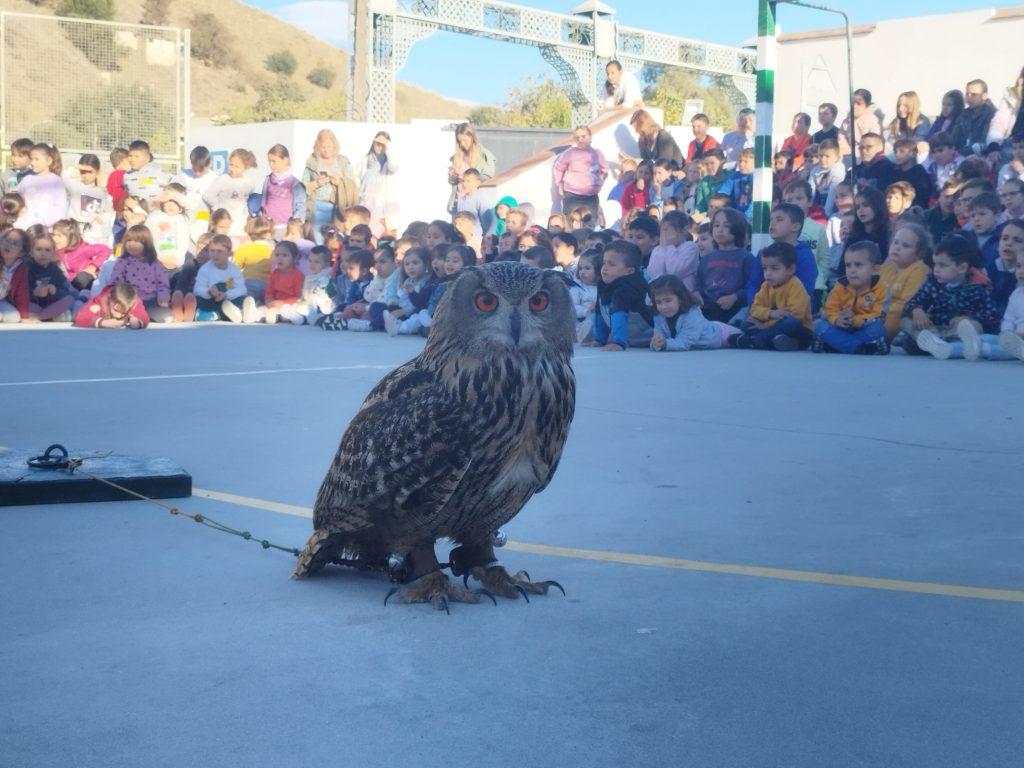 Alba Jiménez, profe de Reli, implica al Colegio Carazony y al pueblo de Coín en un procioso proyecto