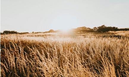 Comentario en texto al Evangelio del sacerdote Rafael Pérez Pallarés