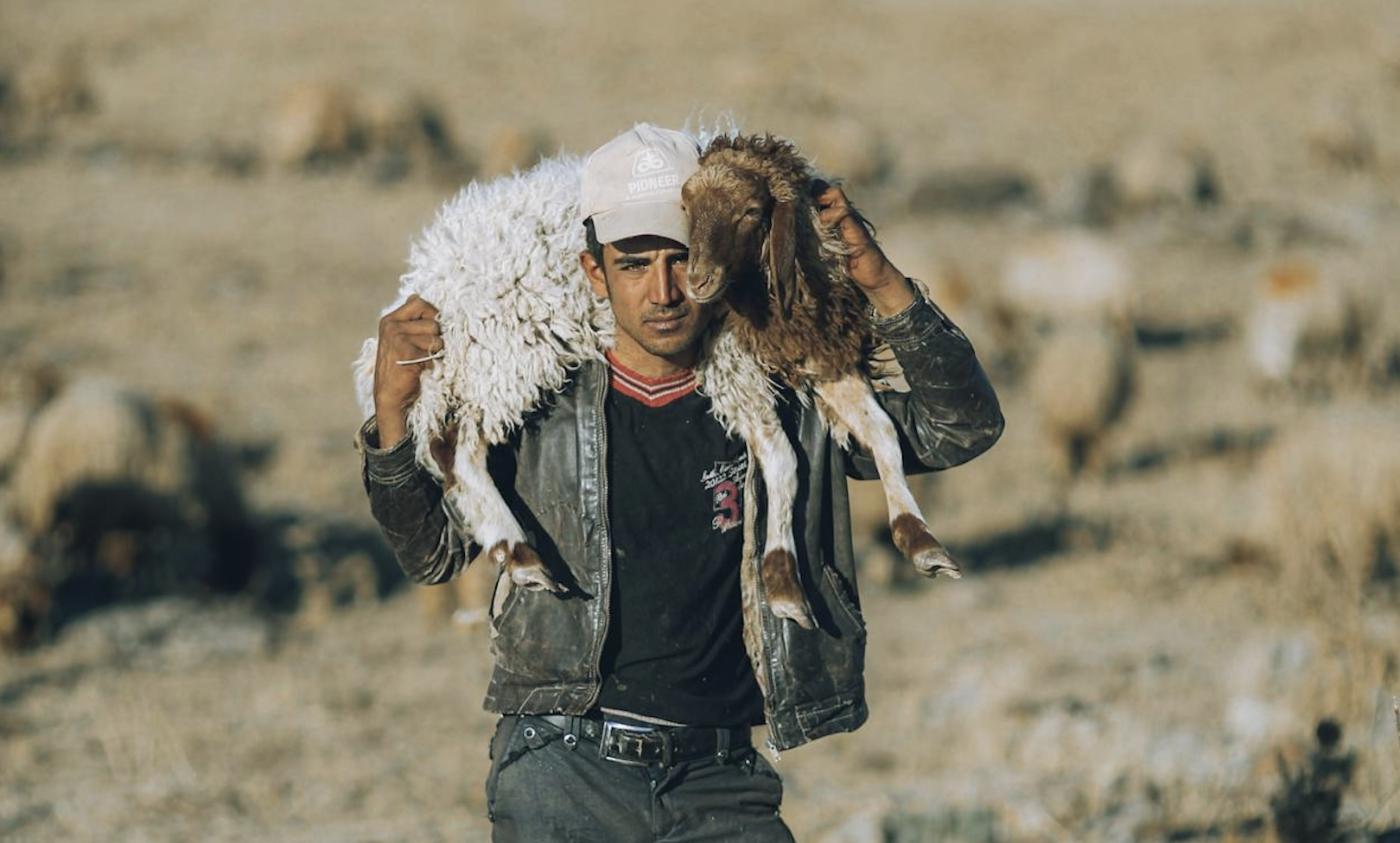 Comentario en texto al Evangelio del sacerdote Rafael Pérez Pallarés