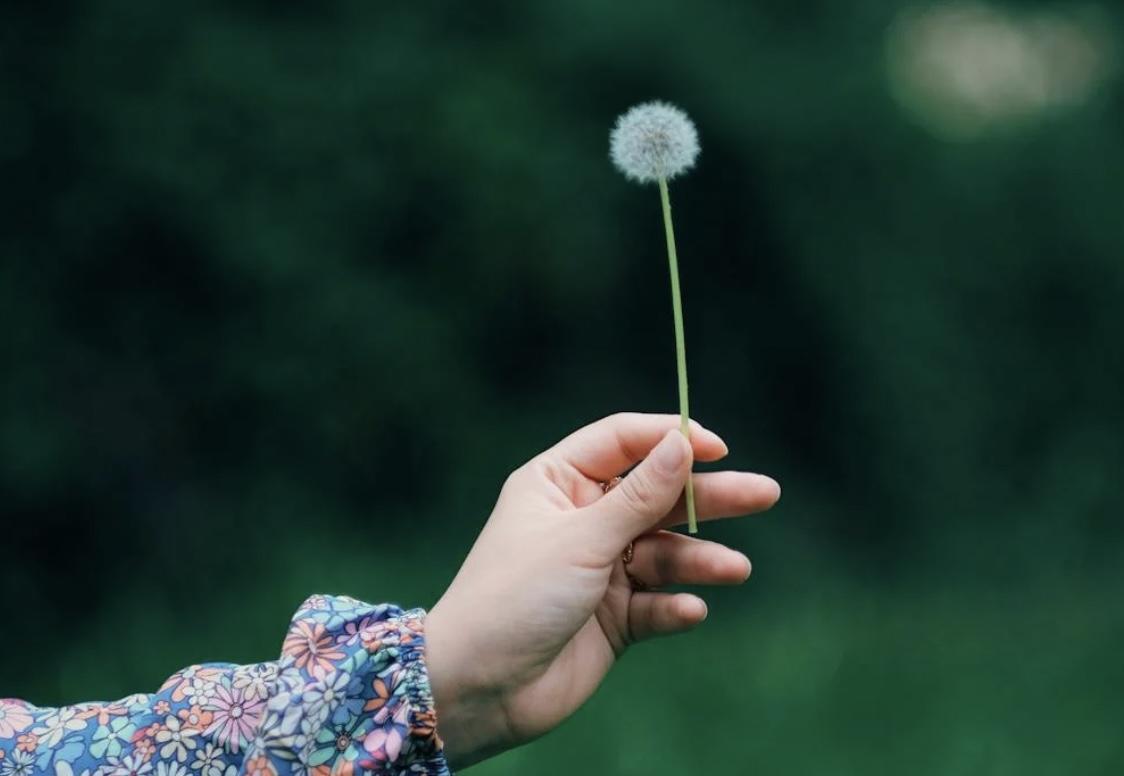 Comentario en texto al Evangelio del periodista Antonio Moreno