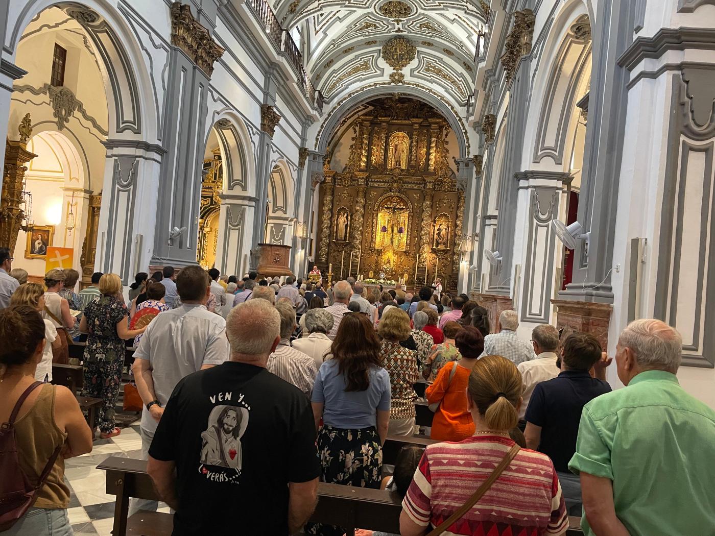 Los laicos peregrinaron juntos a la Catedral en Pentecostés